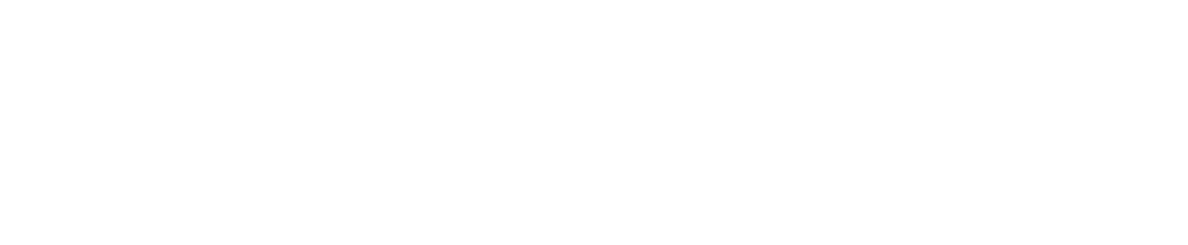 Logo AMO CONSEIL